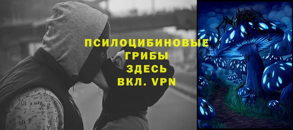 дмт Покровск