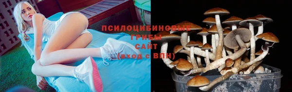 спайс Покачи