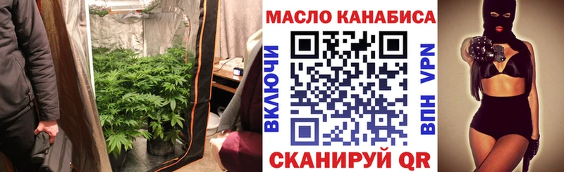 Купить где  Короча  Дистиллят ТГК гашишное масло 